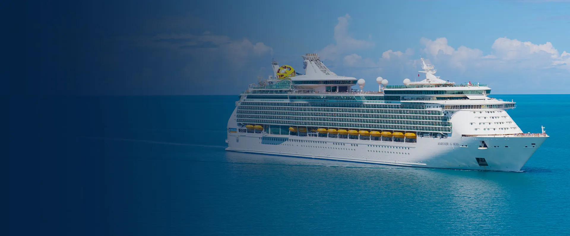 cruise banner